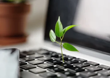 Cyberbezpieczeństwo jednym z elementów zrównoważonego rozwoju