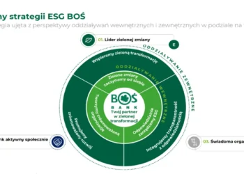 Bank Ochrony Środowiska opublikował strategię na lata 2024-26