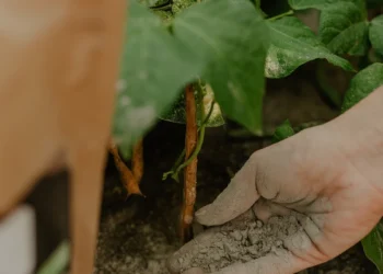 Działania ESG w firmie W.Legutko