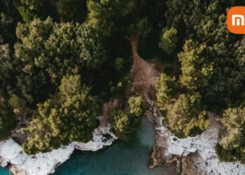 Xiaomi publikuje Białą Księgę dotyczącą działań na rzecz klimatu