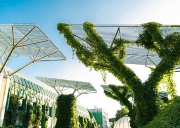 ey-liderem-esg-verdantix