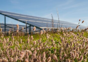 Play inwestuje w zieloną energię