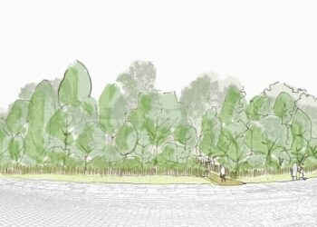 projekt-lasu-kieszonkowego