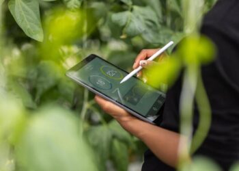 eon polska inwestuje w zieloną energię