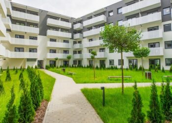 LifeSpot-warszawa-griffin