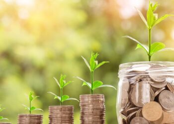 zielone-finanse-canva