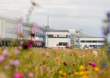 lidl-wspiera-bioroznorodnosc-laki-kwietne