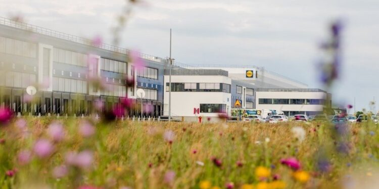 lidl-wspiera-bioroznorodnosc-laki-kwietne