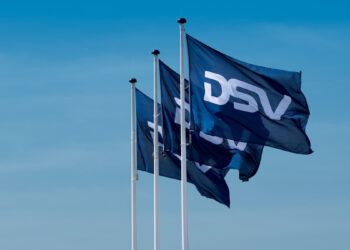 dsv-logo-flaga