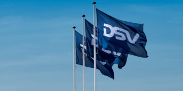 dsv-logo-flaga