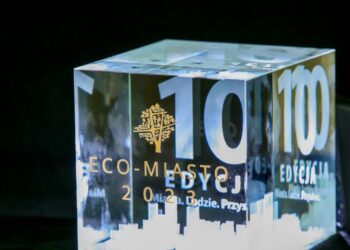 eco-miasto-statuetka