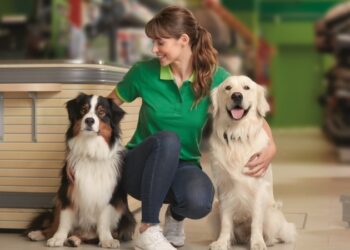 maxi-zoo-wspiera-idee-dei