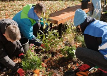 wolontariat-pracowniczy-procter-gamble