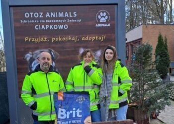 cemex-wolontariat-pracowniczy