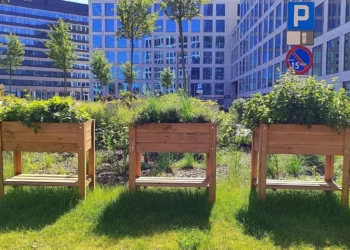 brain-park-dzialnia-esg