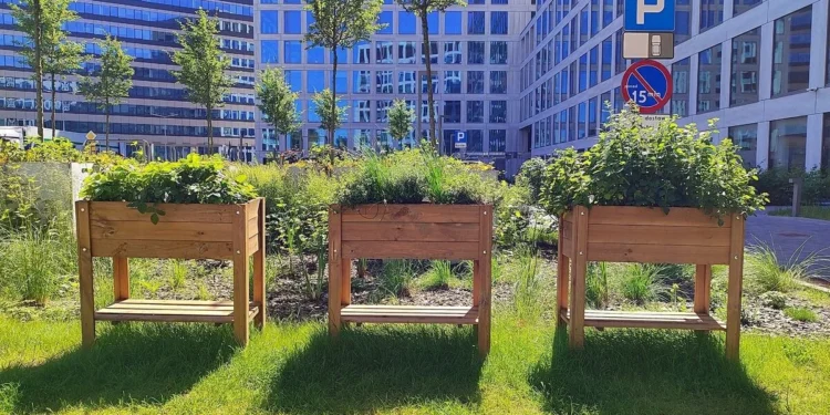 brain-park-dzialnia-esg