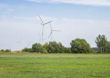 wspolpraca-OX2-i-WiseEuropa-projekt-wind4bio