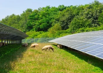 goldbeck-solar-farma-fotowoltaiczna-w-niemczech-Schaffe.png