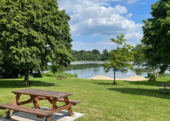 zielona-transformacja-miast-webinar-mkis