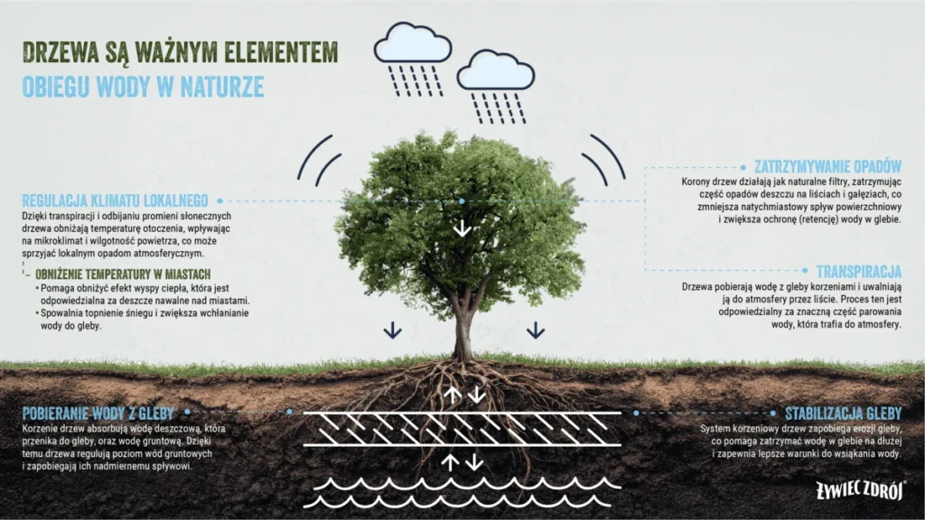 Żywiec Zdrój_po-stronie-natury