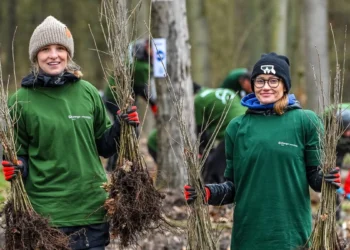 energa-obrot-wolontariat-zielona-transformacja-esg