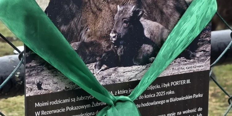 pekao-wolontariat-prcowniczy-csr-esg