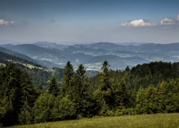 zywiec-zdroj-dzialnia-esg-po-stronie-natury