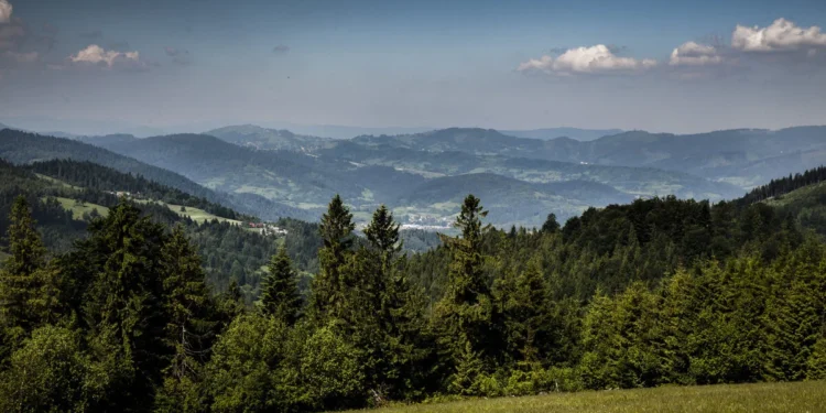 zywiec-zdroj-dzialnia-esg-po-stronie-natury