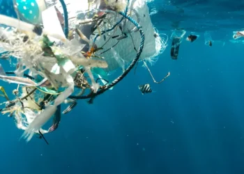 swiatowy-dzien-srodowiska-2025