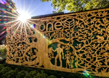 allegro-inwestuje-w-oze