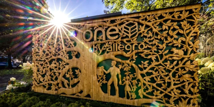 allegro-inwestuje-w-oze