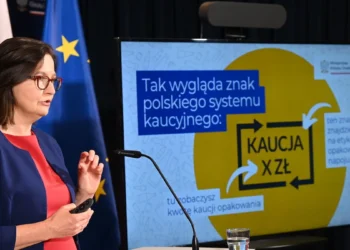 anita-sowinska-mkis-system-kaucyjny