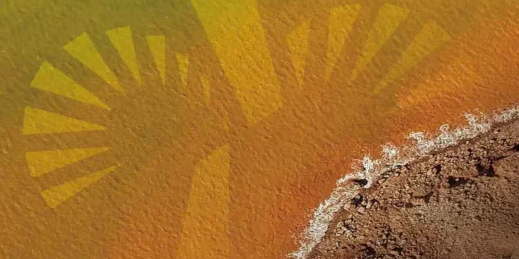 longi-raport-esg-2024