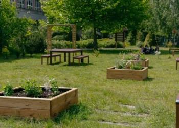 Parki kieszonkowe od P&G zmieniają szkolne podwórka