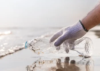 swiatowy-dzien-srodowiska-2025