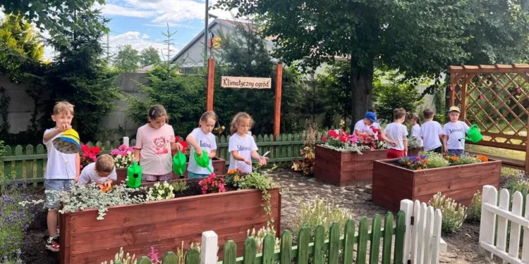 Polenergia-Graj-z-nami-w-zielone-2025