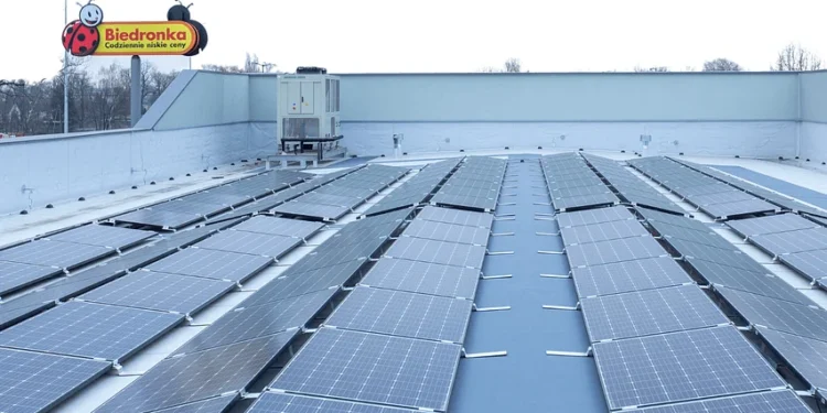 Biedronka z 2000 sklepów na OZE – rekord zielonej energii