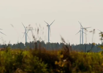 elektrownia_wiatrowa_bardy_enea