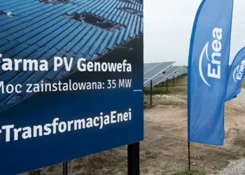 enea-alians-oze-wspolpraca