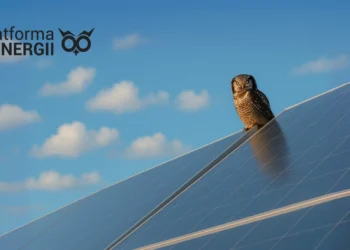 esg-platforma-dla-energii