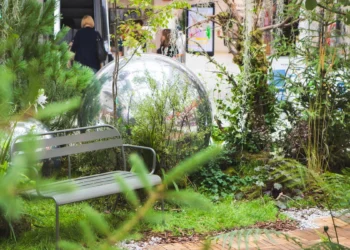 las_tlenowy_w_poznan_plaza