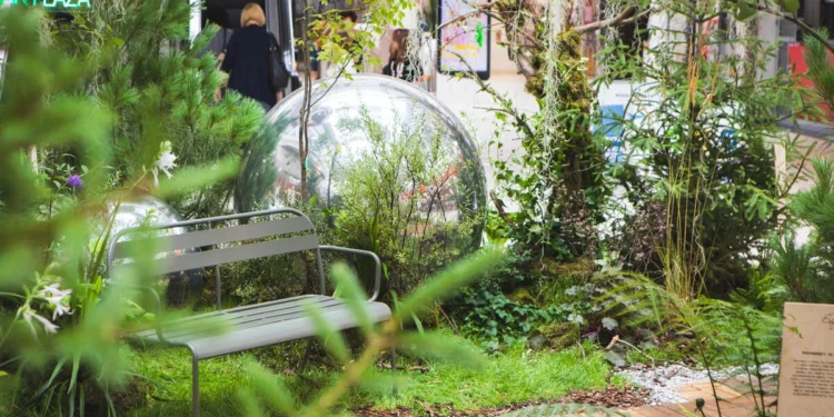 las_tlenowy_w_poznan_plaza