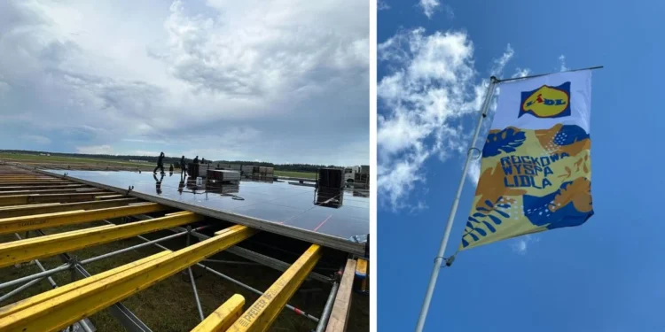 lidl-sklep-ze-strefa-ekologczna