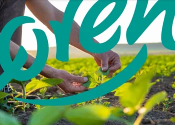 lorenz-zrownowazony-rozwoj-raport-esg-2024