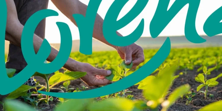 lorenz-zrownowazony-rozwoj-raport-esg-2024