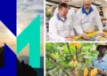 mars-raport-zrownowazonego-rozwoju-strategia-esg