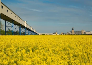 LWBogdanka_strategia-esg-2025-2030