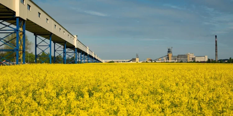 LWBogdanka_strategia-esg-2025-2030