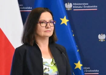 anita-sowinska-mkis-system-kaucy