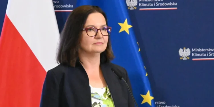 anita-sowinska-mkis-system-kaucy